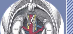 Alternative Medicine Acupuncture Herbal Treatment Cure Kidney Cancer Herbs Kuala Lumpur Treatment Cure Centre